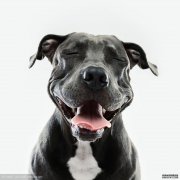 最新！3月6日31省区市新增确诊病例99例，境外输入确诊病例24例